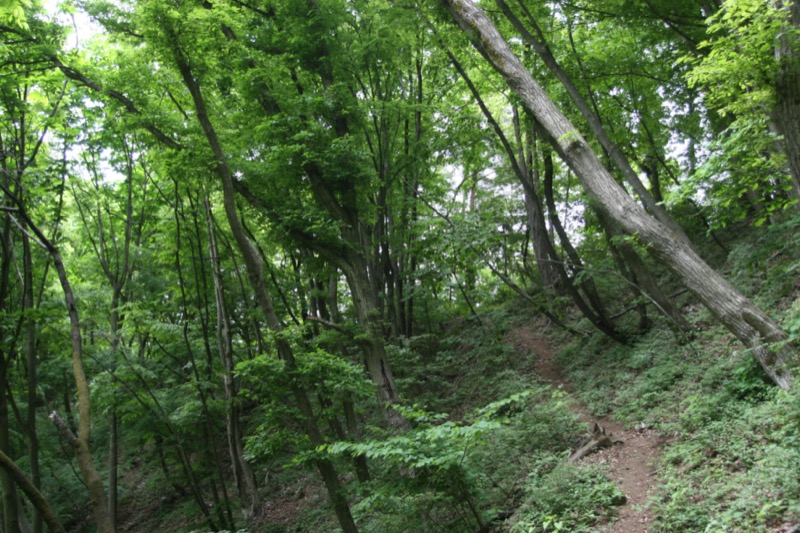 高川山